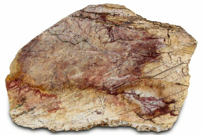 Polished Cherry Creek Jasper - China #326028